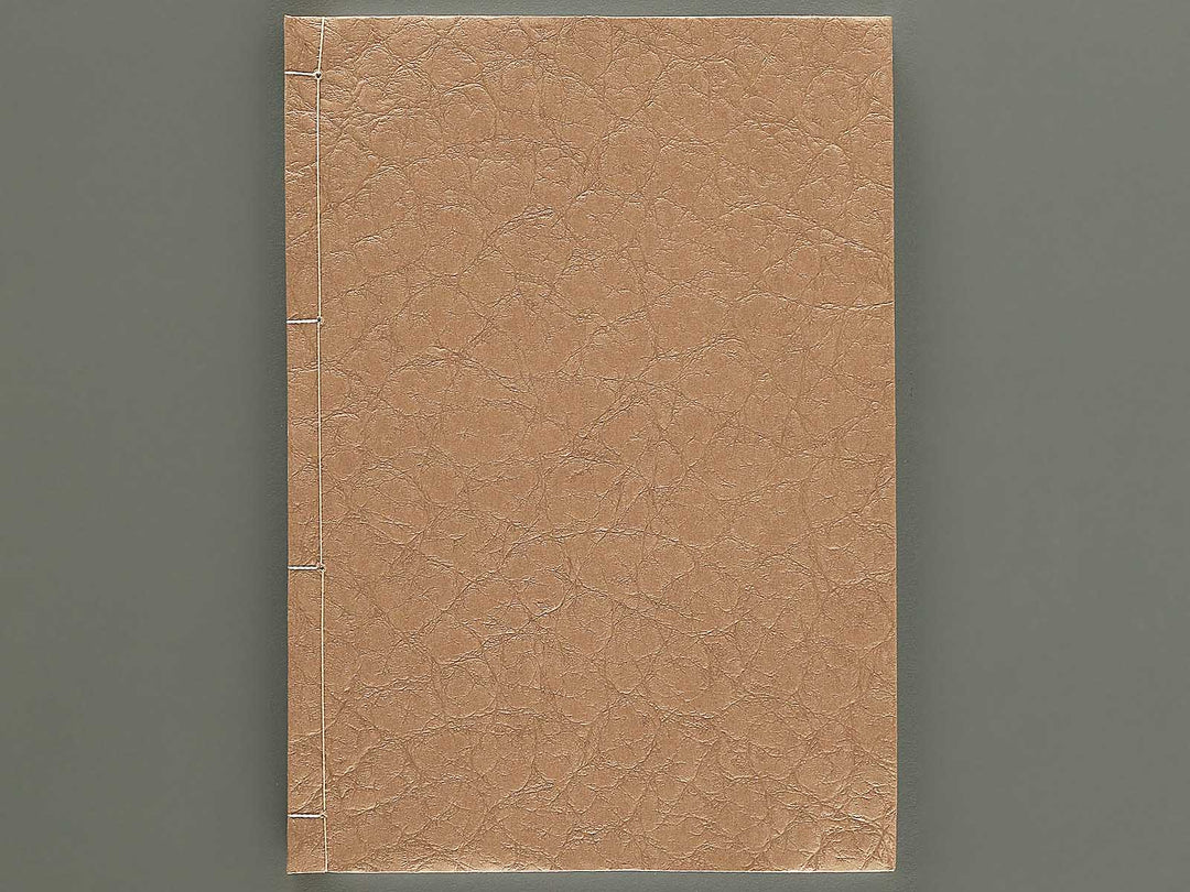 Konotegashiwa Volume 5 by Keisai Eisen / BJ346-493