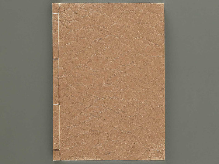 Konotegashiwa Volume 5 by Keisai Eisen / BJ346-493