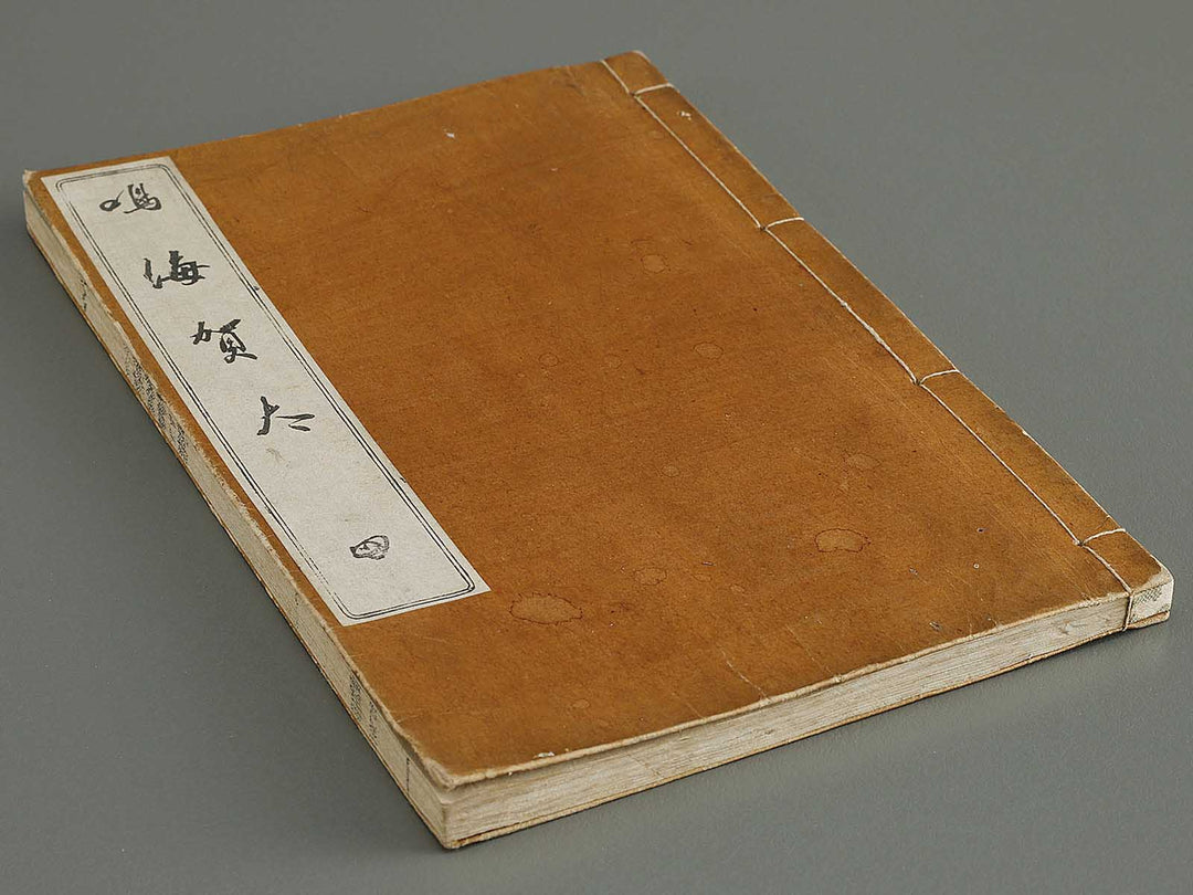 Narumikata Volume 4 by Odagiri Shunko / BJ339-913