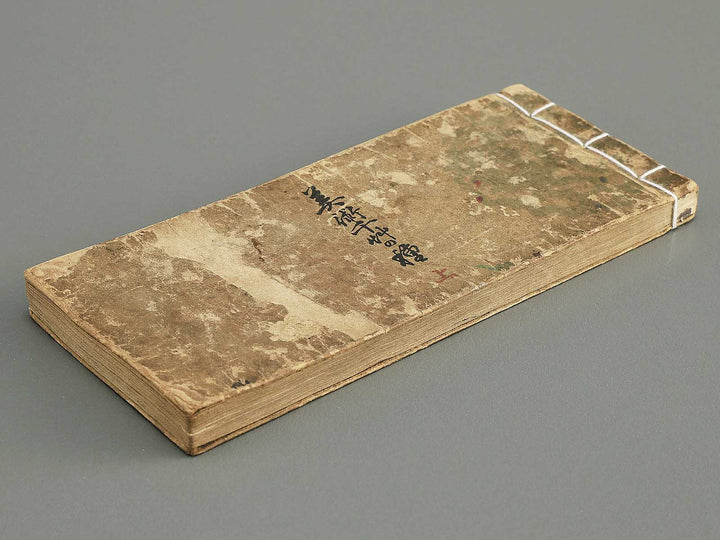 Bijutsu tigusa no tane (Jo) by Asai Hironobu / BJ347-557