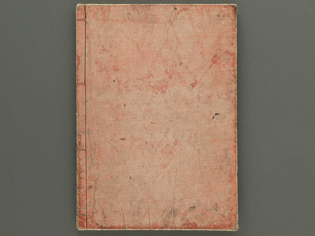 Nihon hyakushoden issekiwa Volume 9 by Yanagawa Shigenobu / BJ348-824