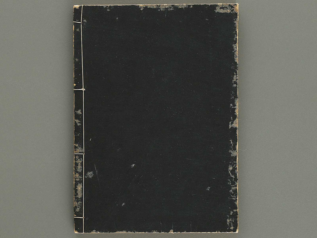 Meiki zukan Volume 6 / BJ328-958