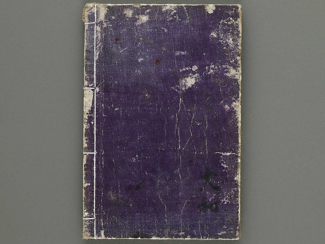 Kyosai suiga Volume 2 by Kawanabe Kyosai / BJ317-142