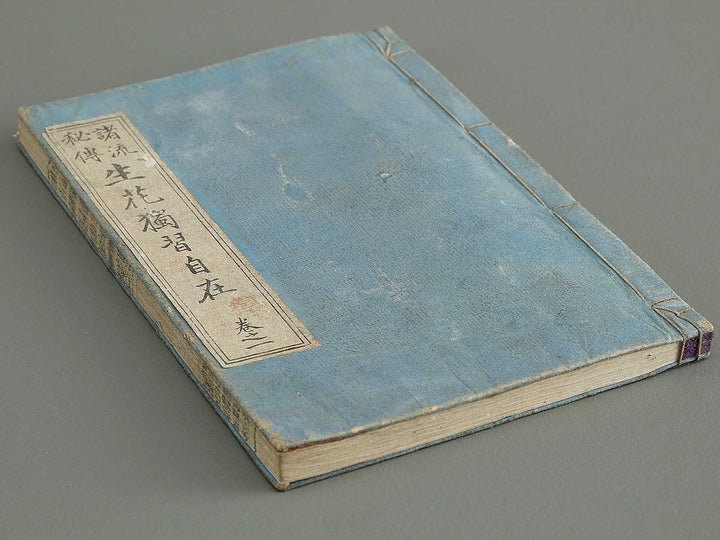 Shoryu hiden ikebana dokushu jizai Volume 1 / BJ332-738