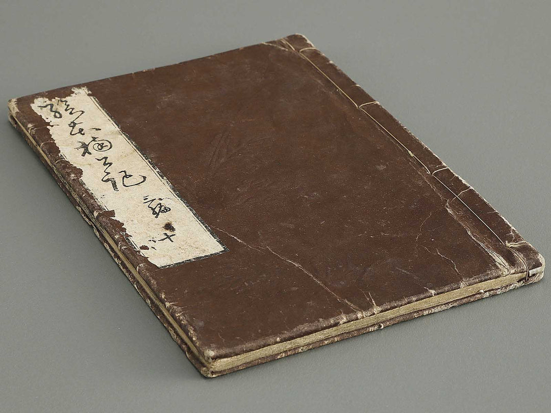 Ehon nankoki Part 3, Book 10 by Hayami Shungyosai / BJ336-756