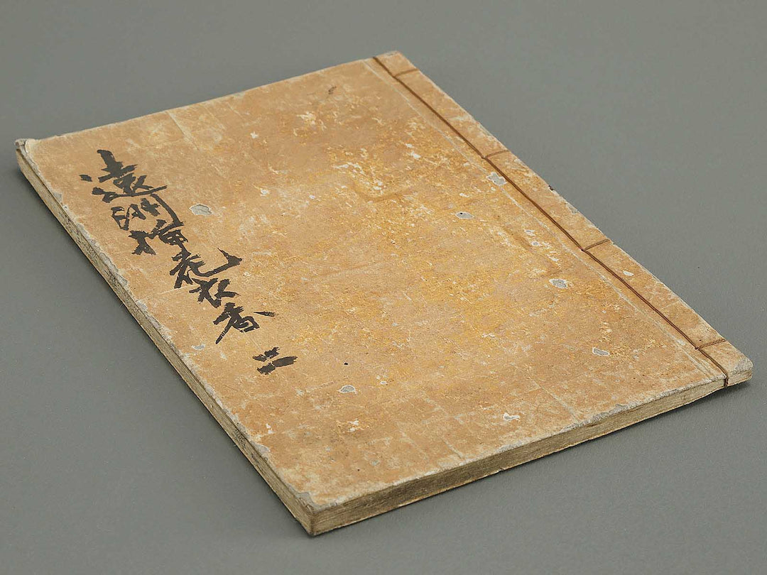 Soka koromonoka Volume 2 by Hishikawa Sori / BJ335-174