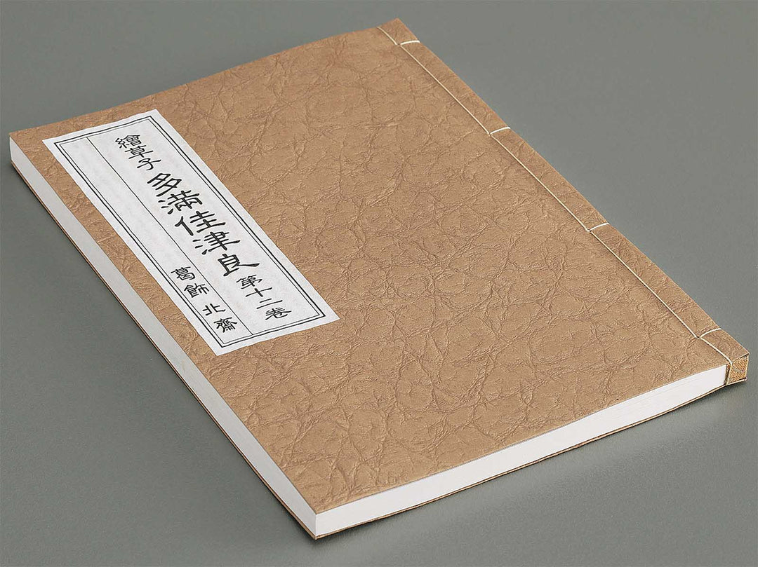 Ezoshi Tamakazura Volume 12 by Katsushika Hokusai / BJ346-486