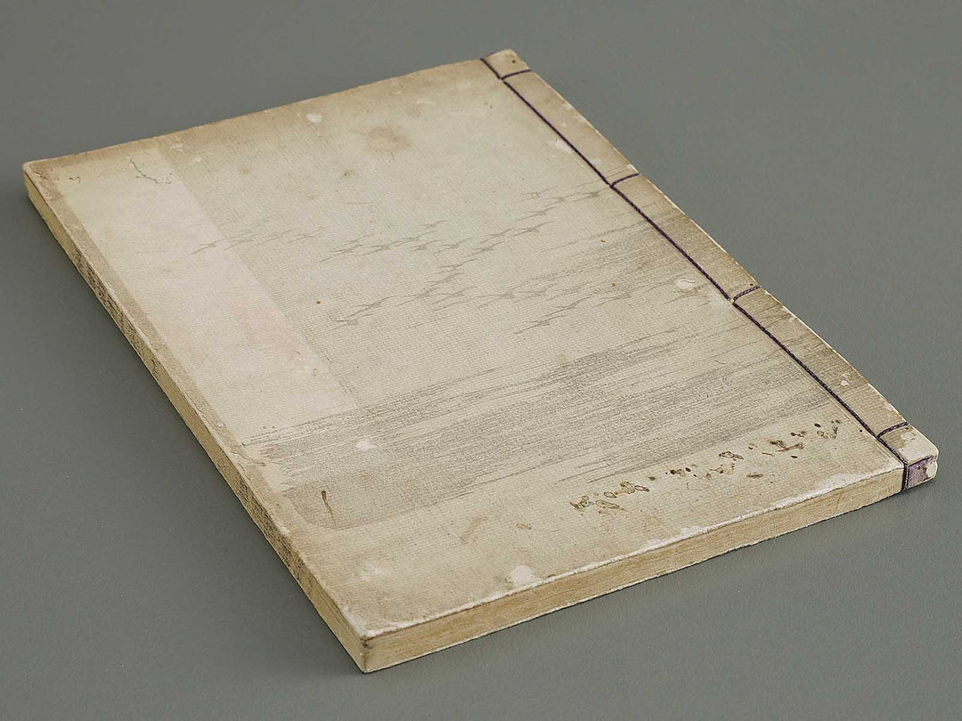 Ehon inaka no tsuki Setsu by Kono Bairei / BJ341-222