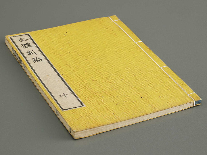 Zentai shinron Kon (Part 2 of 2) / BJ325-353