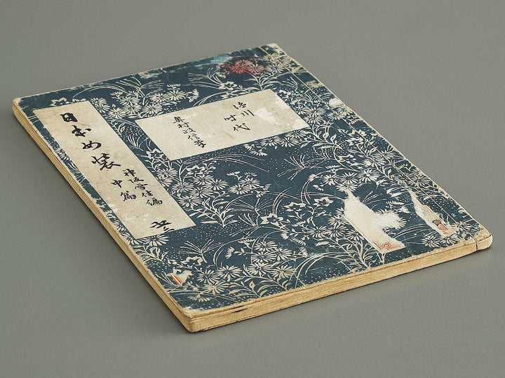 Nihon joso Volume 5 by Okumura Masanobu / BJ325-318