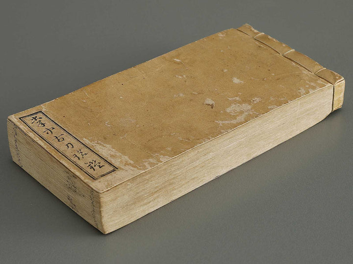 Unchi meishu / BJ336-105