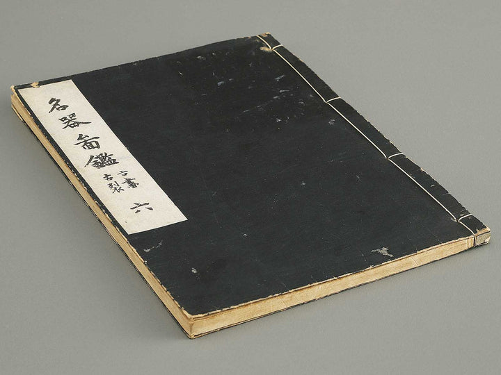 Meiki zukan Volume 6 / BJ328-958