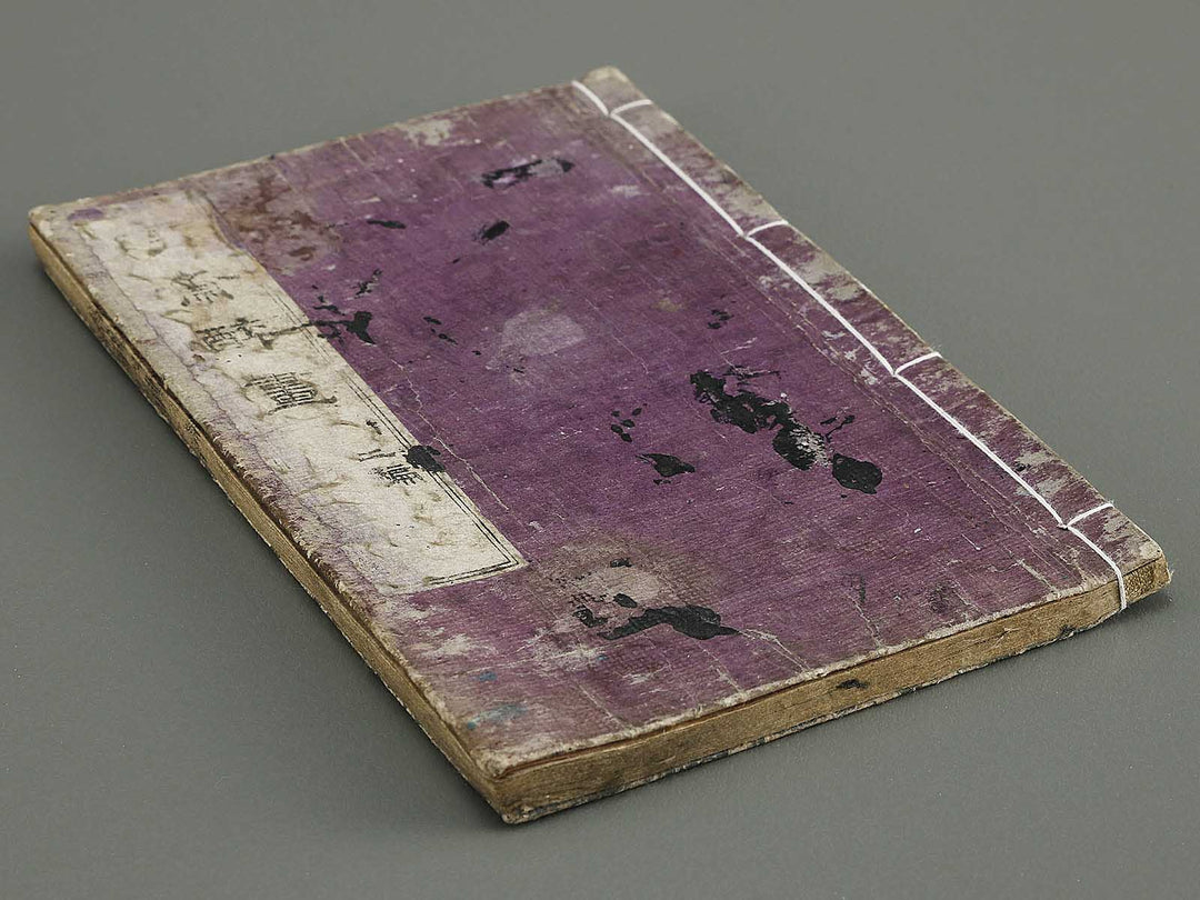 Kyosai suiga Volume 2 by Kawanabe Kyosai / BJ317-142