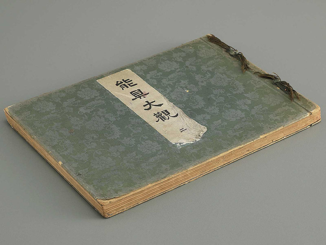 Nogu taikan Volume 2 by Yamaguchi Ryoshu / BJ348-376