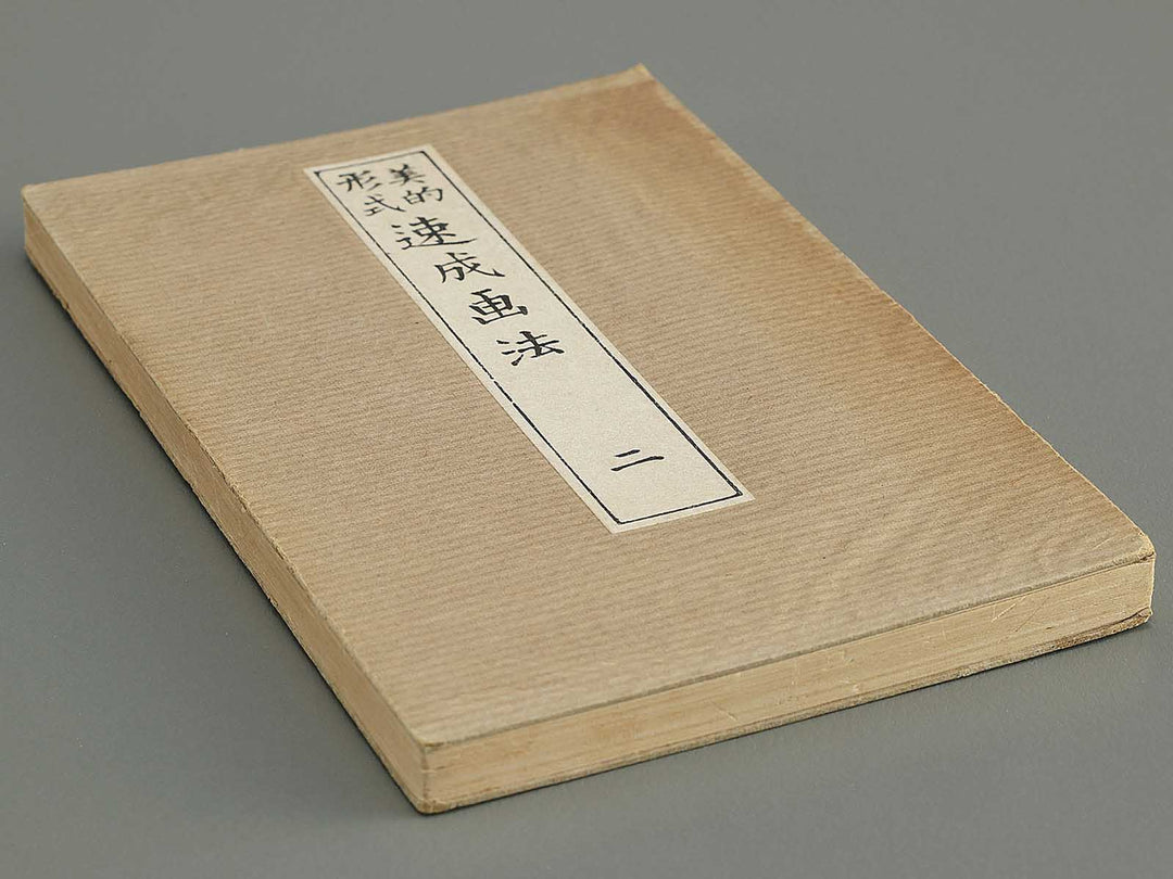 Biteki keishiki sokusei gaho Volume 2 by Matsuda Kajo / BJ348-054