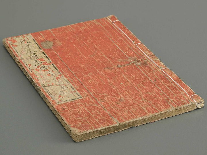 Otomo kanemichi chuko zue Part 1, Book 3 by Ryusai Shigeharu / BJ348-285