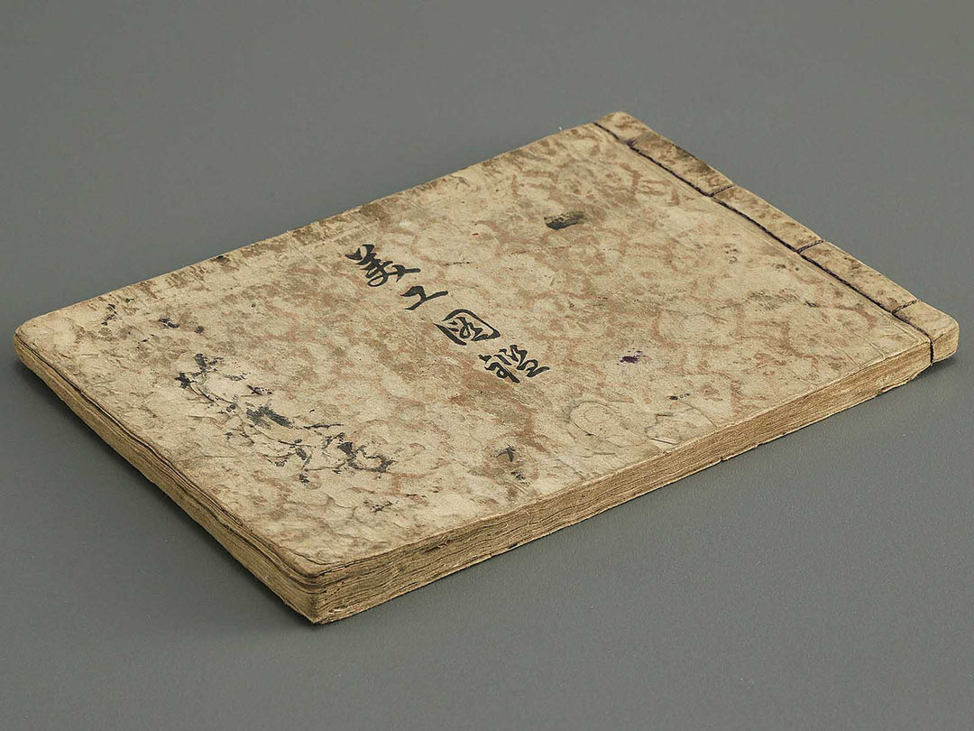 Biko zukan by Hasegawa Keika / BJ345-849