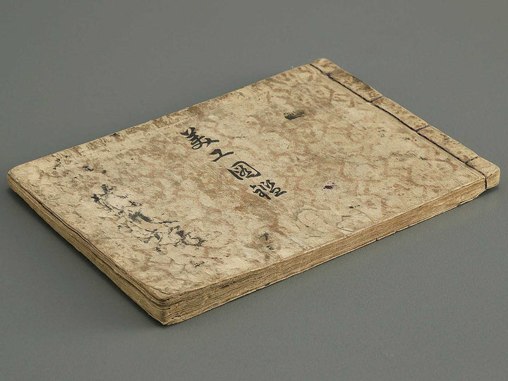 Biko zukan by Hasegawa Keika / BJ345-849