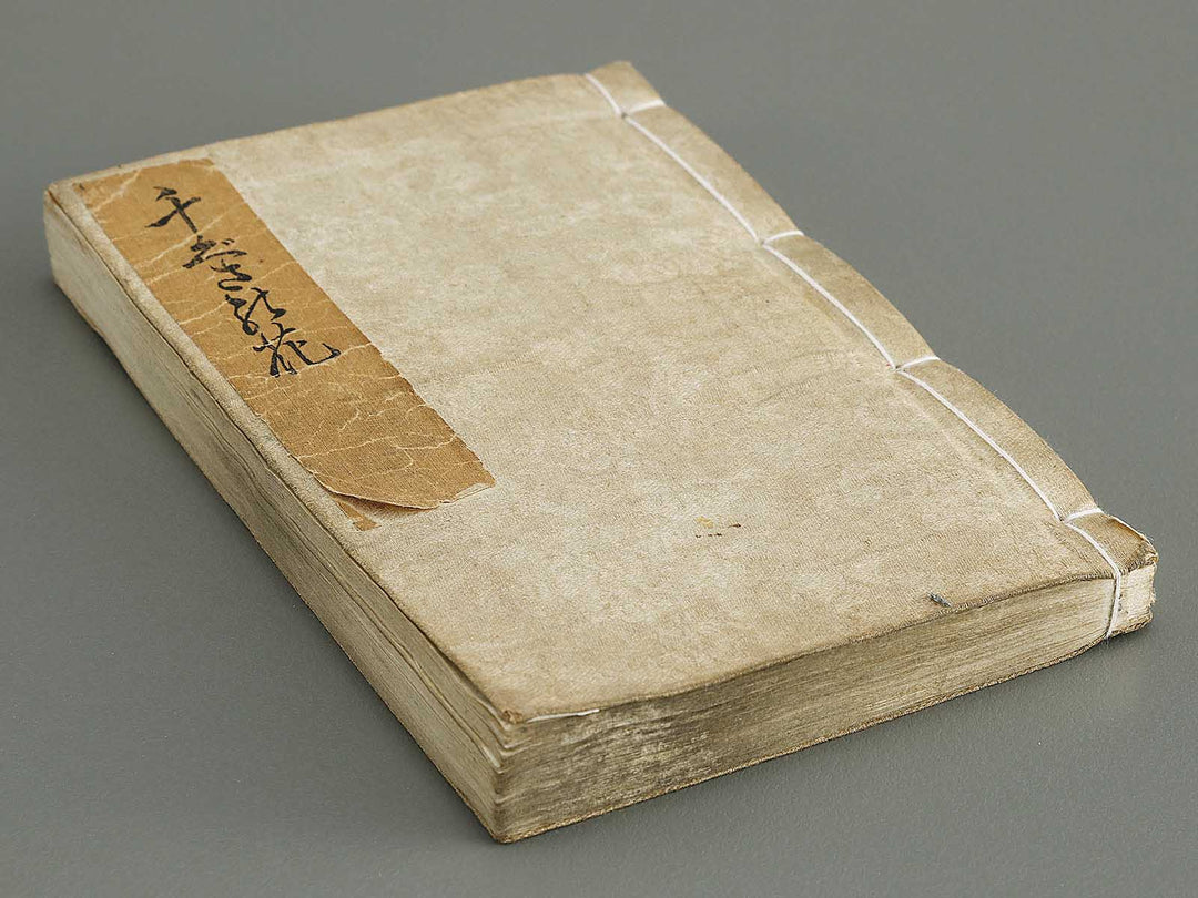 Chigusa no hana futatsu chocho by Utagawa-school / BJ316-183