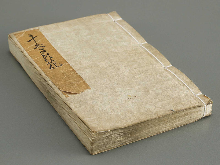 Chigusa no hana futatsu chocho by Utagawa-school / BJ316-183