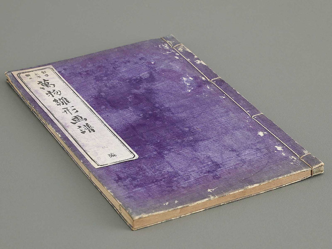 Banbutsu hinagata gafu Volume 2 by Sensai Eisaku / BJ305-956