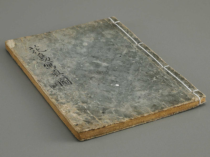 Kacho shashin zui by Kitao Shigemasa / BJ339-115