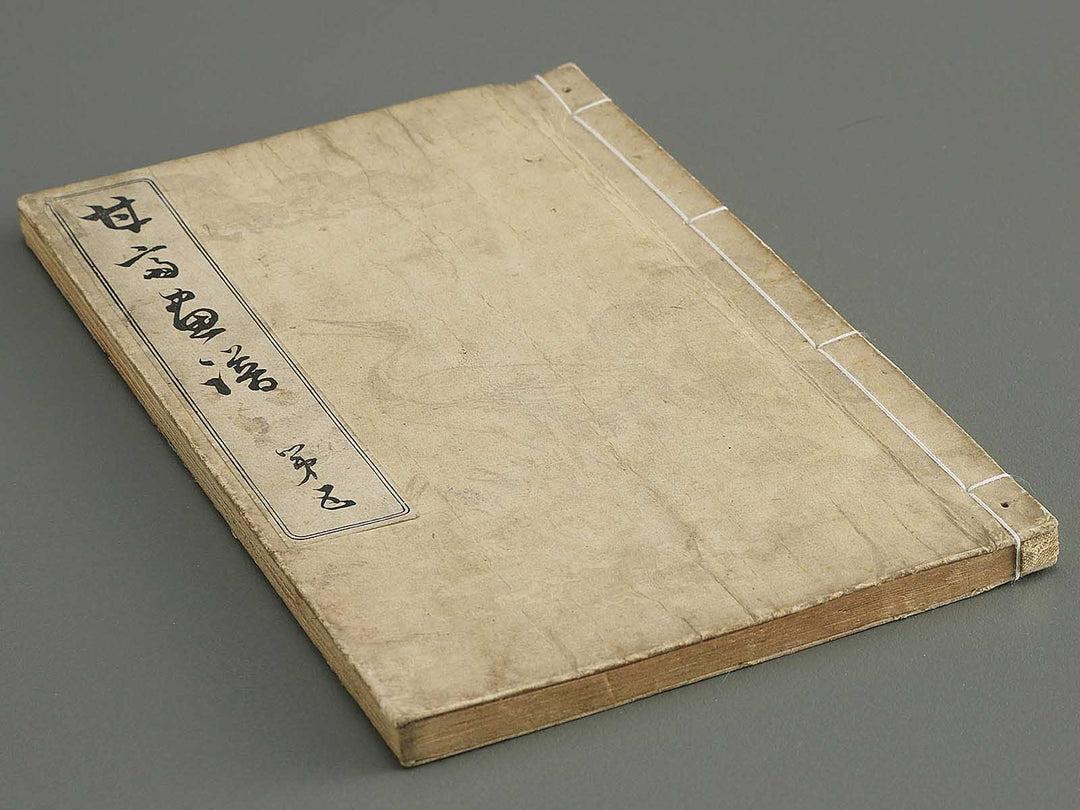 Kansai gafu  Volume 5 by Ichikawa Kansai / BJ345-086