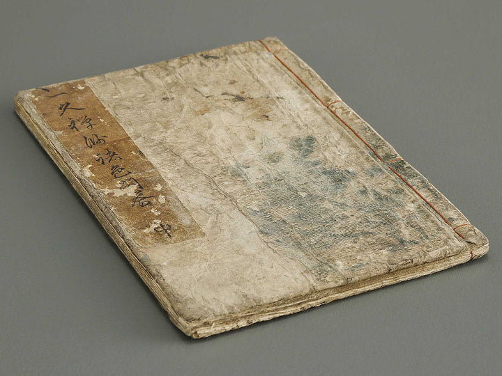 Ikku zenji shoshiki mondo (Chu) by Yanagawa Shigenobu / BJ336-805