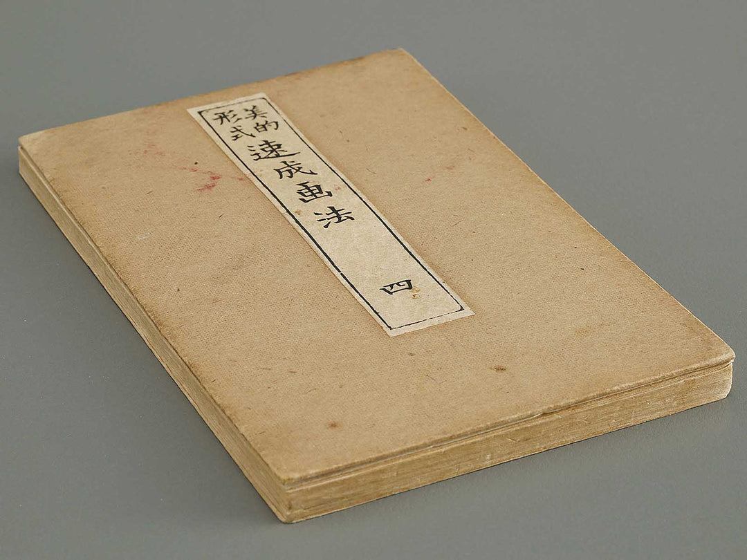 Biteki keishiki sokusei gaho Volume 4 by Matsuda Kajo / BJ333-872