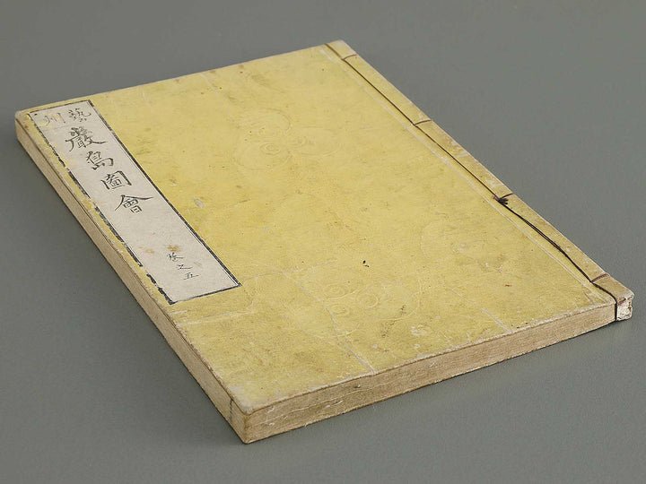 Itsukushima zue Volume 5 by Yamano Shunbosai / BJ311-710