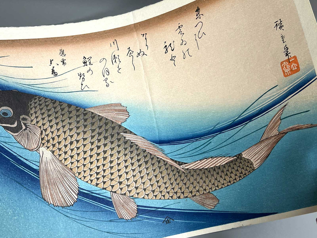Japanese Carp from the series the series fish by Utagawa Hiroshige, (Large print size) / BJ325-619