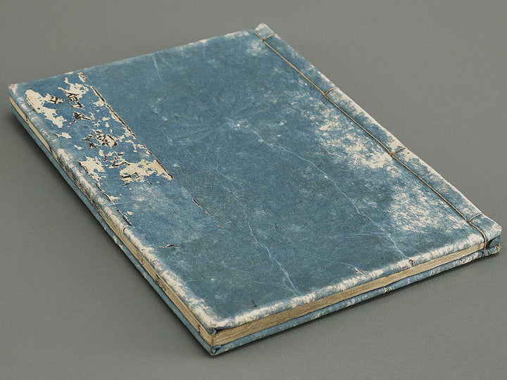 Ehon nankoki Volume 1 by Hayami Shungyosai / BJ335-433