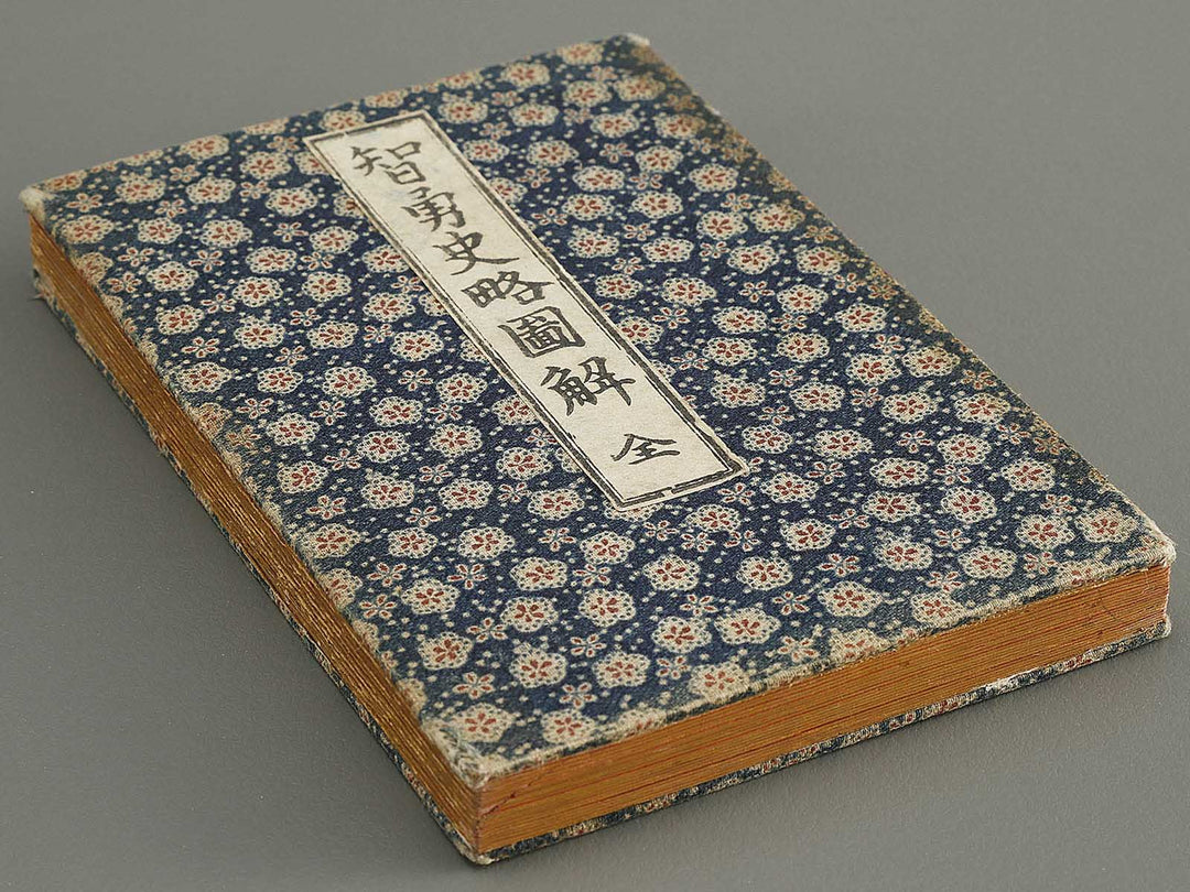 Chiyu shiryaku zukai by Ogata Koichi / BJ328-993