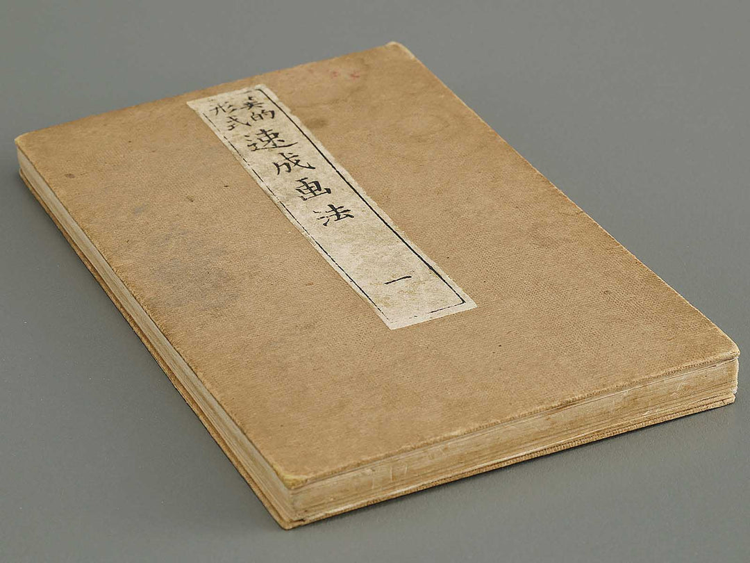 Biteki keishiki sokusei gaho Volume 1 by Matsuda Kajo / BJ333-865