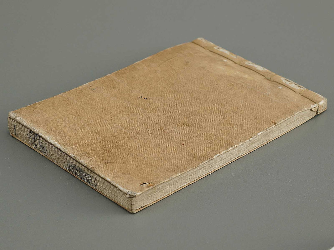 Horimono mekiki saikinsha / BJ334-579