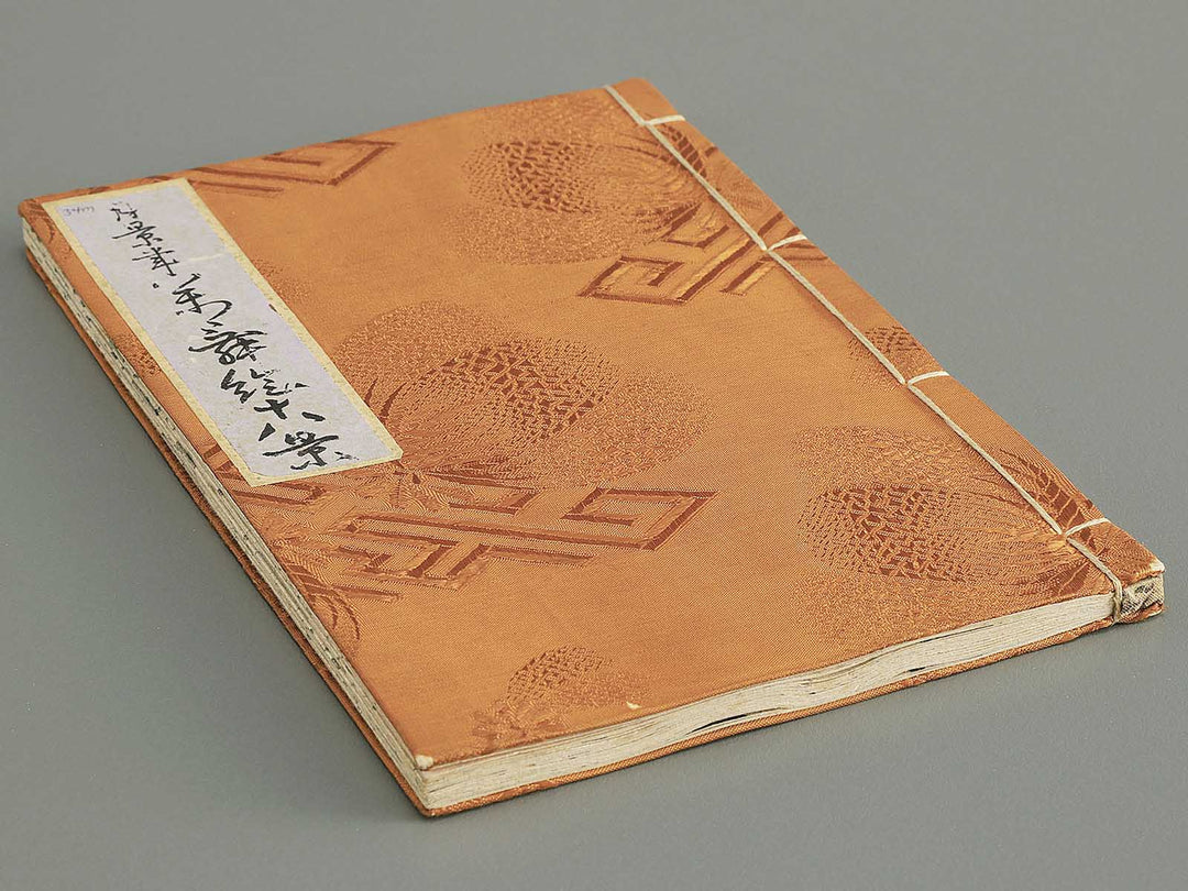 Shunga / BJ348-243