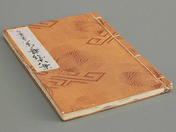 Shunga / BJ348-243