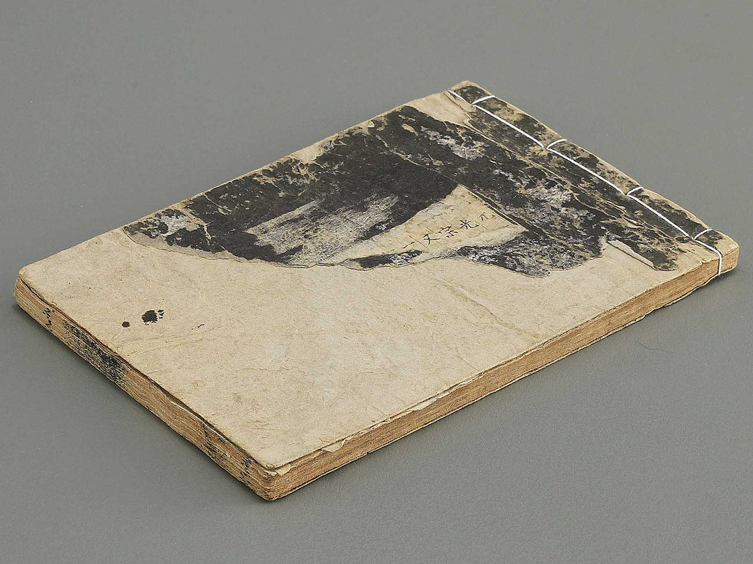 Kodai moyo shikizu ko (Ge) by Kano Motonobu, Katsushika Hokusai, Ogata Korin, Sakai Hoitsu, etc. / BJ354-165