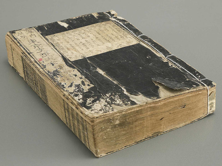 Tokyo bunsho taizen (Jo) by Kawanabe Kyosai / BJ353-829
