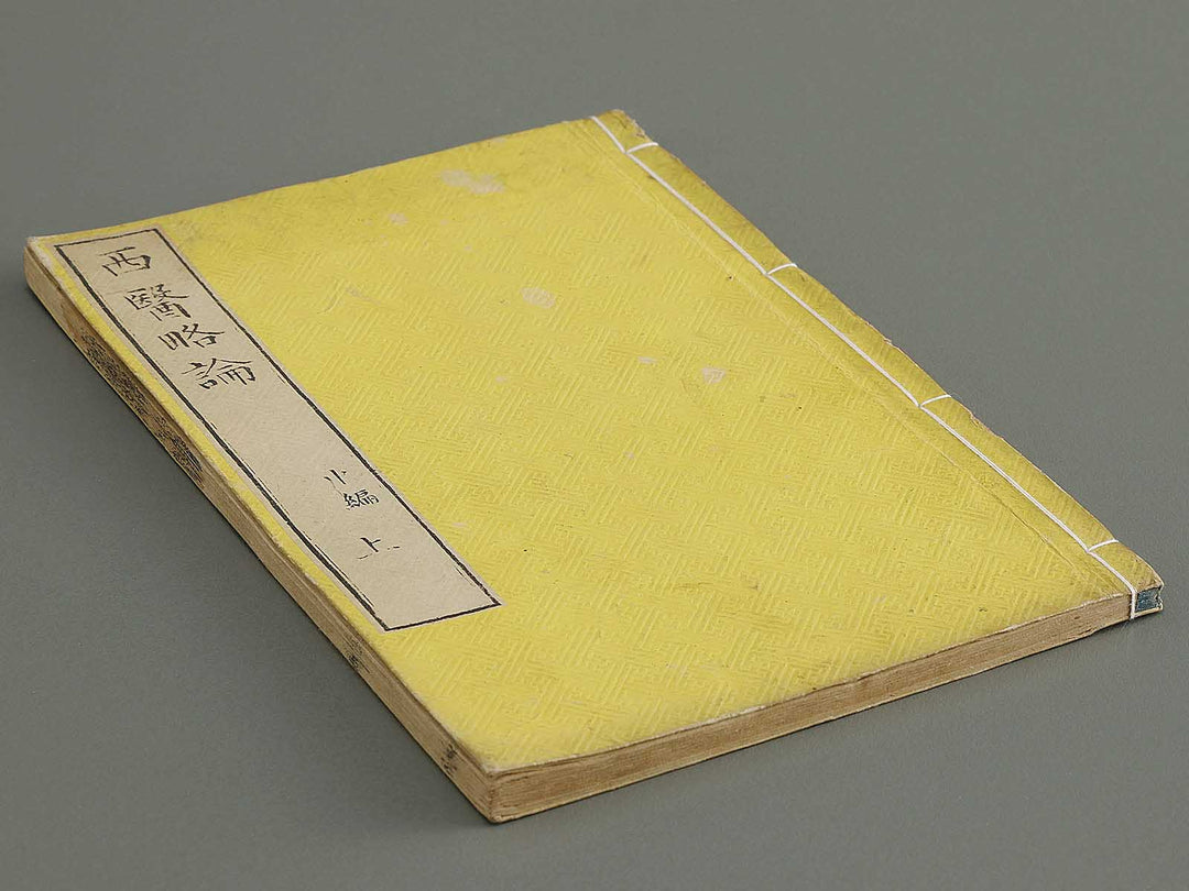 Seii ryakuron (Chu, Jo) / BJ326-319