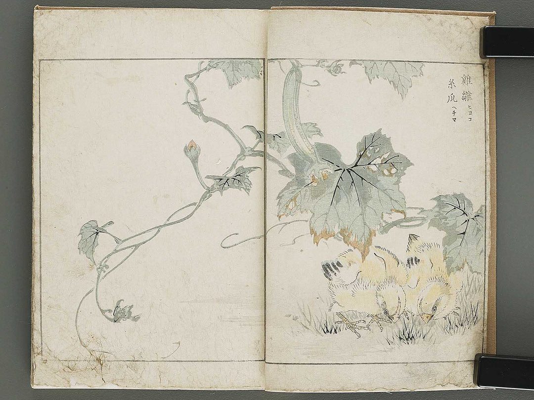 Shucho gafu (Jin) (Part 3 of 3) by Numata Kashu / BJ339-752