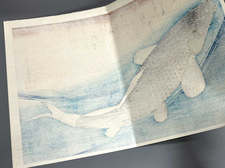 Japanese Carp from the series the series fish by Utagawa Hiroshige, (Large print size) / BJ325-619