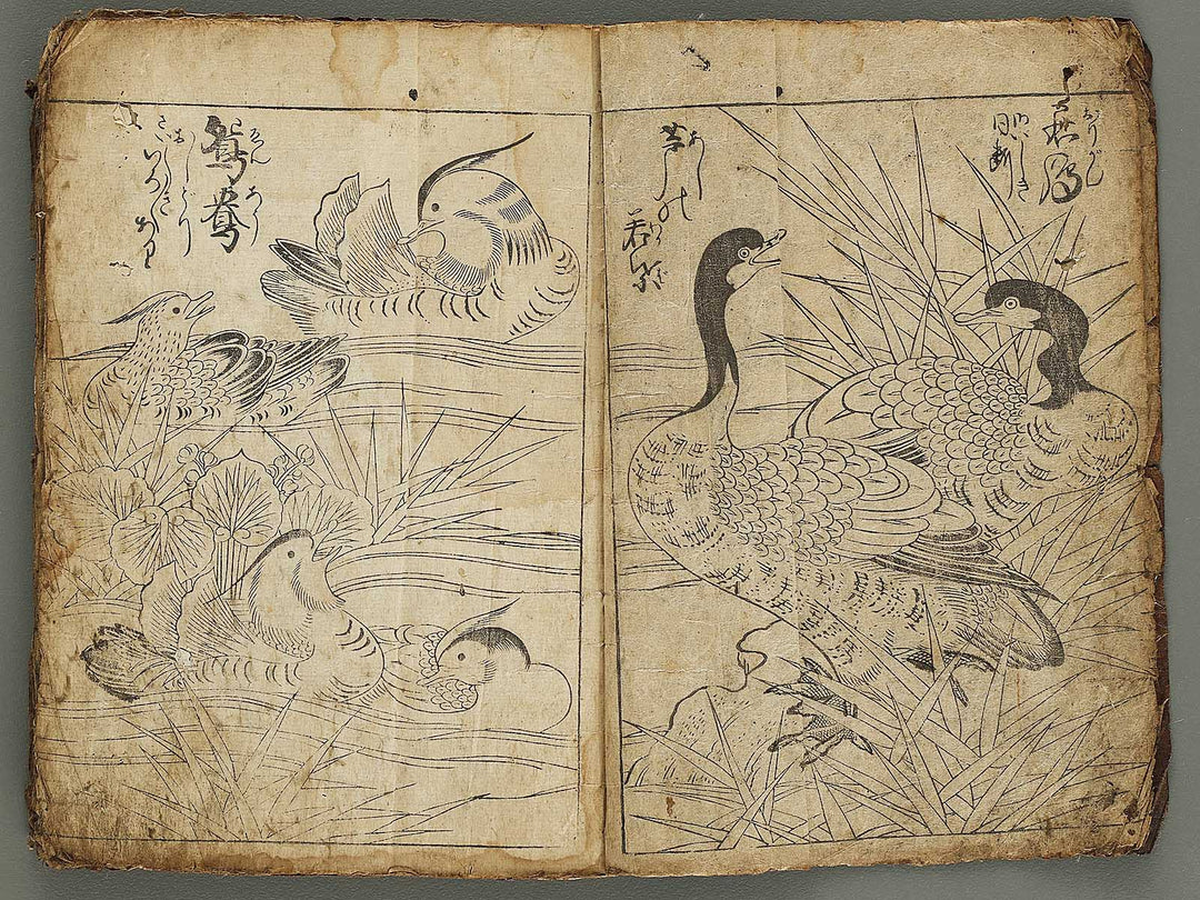 Etehon (Title Unknown)  / BJ337-561