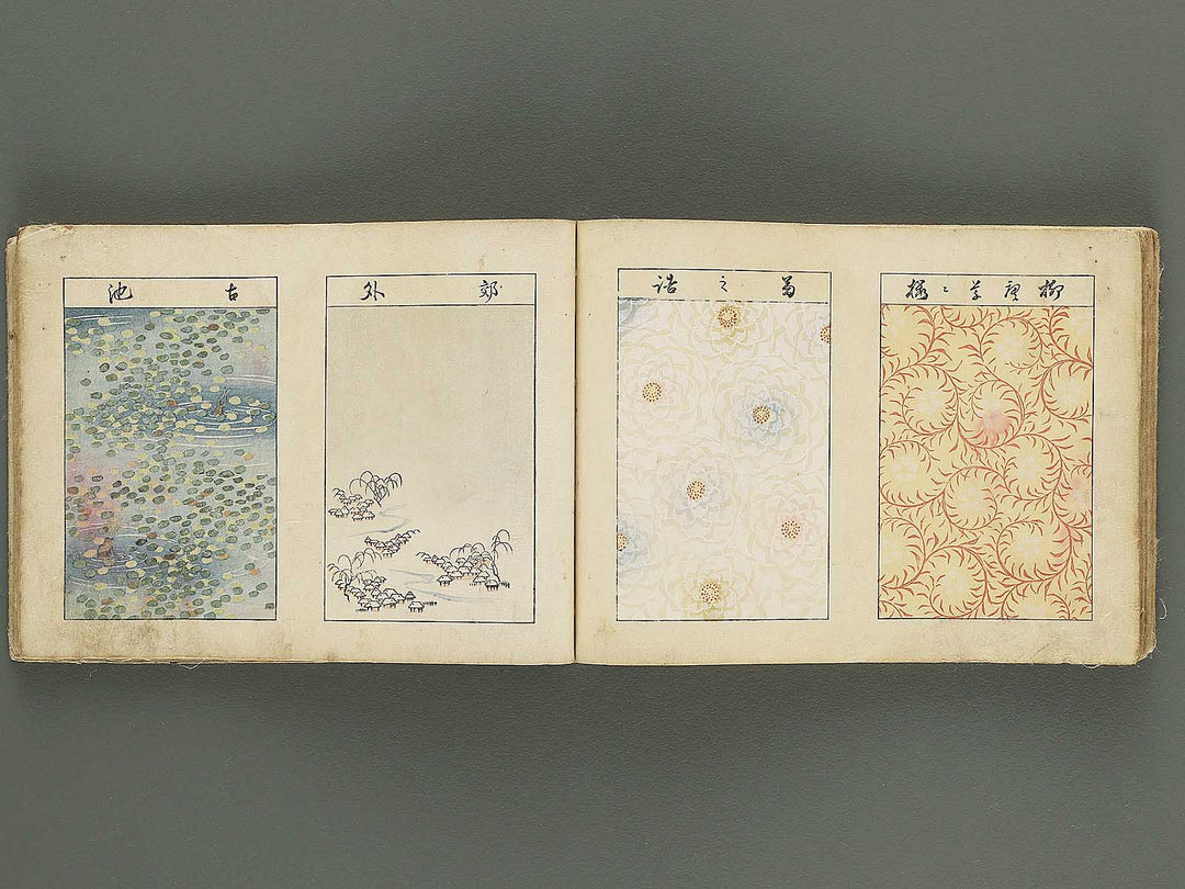 Biko zukan by Hasegawa Keika / BJ345-849