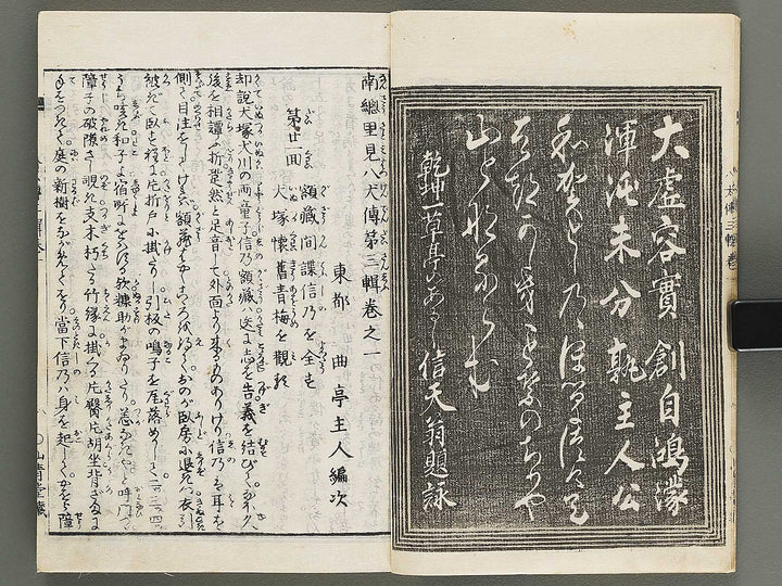 Nanso satomi hakkenden Volume 3 by Yanagawa Shigenobu / BJ316-274