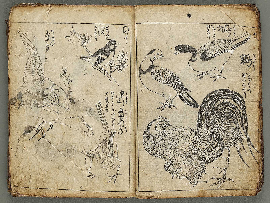 Etehon (Title Unknown)  / BJ337-561