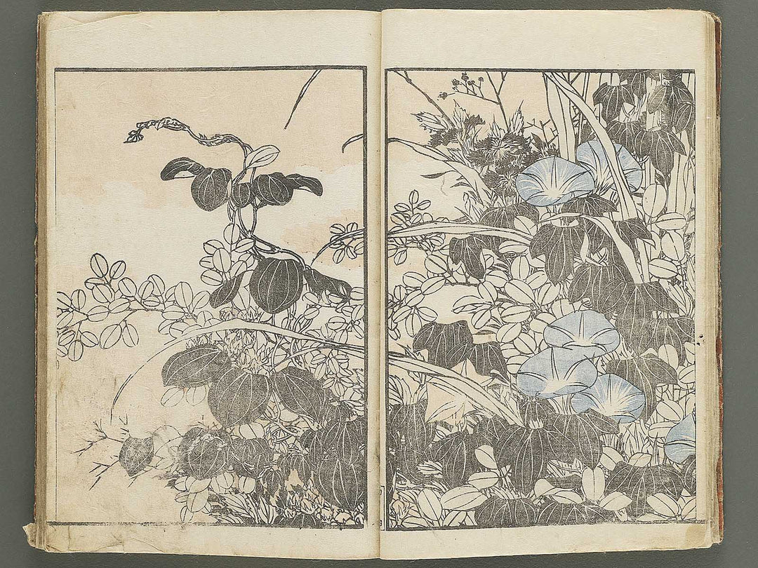 Hokusai gafu (Chu) by Katsushika Hokusai / BJ353-115