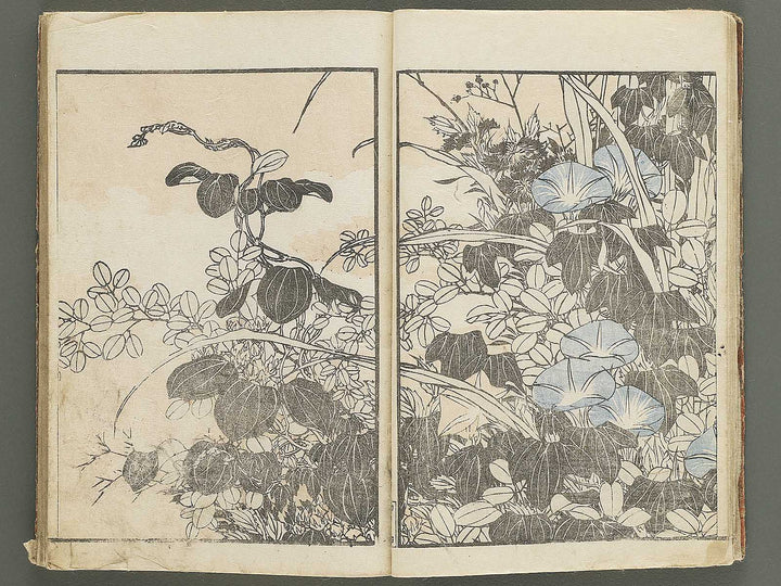 Hokusai gafu (Chu) by Katsushika Hokusai / BJ353-115