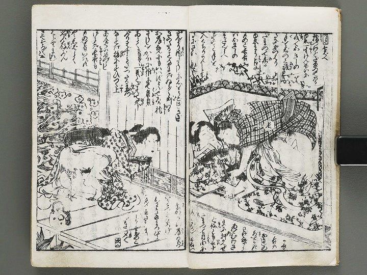 Chigusa no hana futatsu chocho by Utagawa-school / BJ316-183