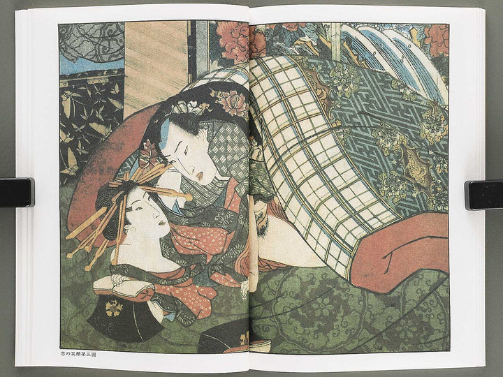 Ezoshi Hanagoyomi Volume 7 by Utagawa Kuniyoshi / BJ346-458
